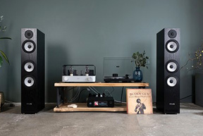 Pylon Audio Ruby 30 скромняги класса High-End