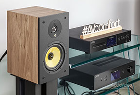 Стендовые мониторы Davis Acoustics Ariane 2