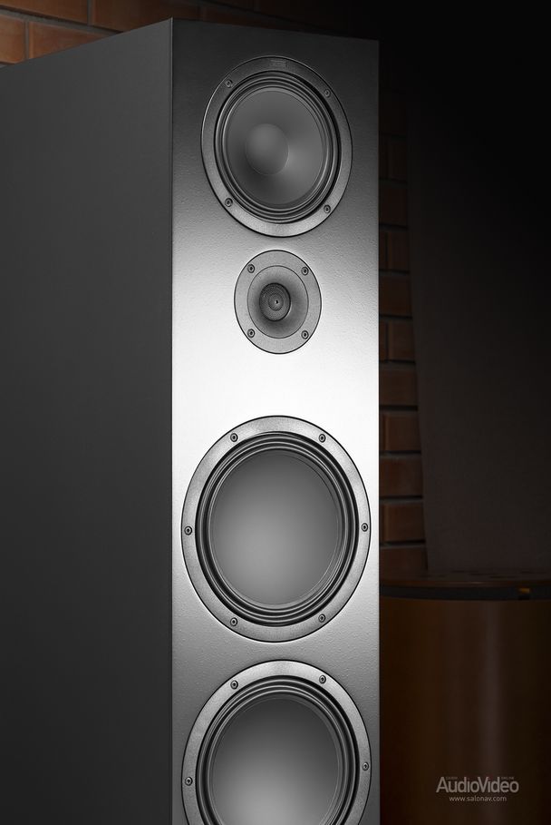 Акустические системы Canton GLE 100 S2