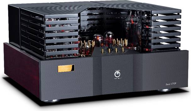 Разделенные «души» CAYIN