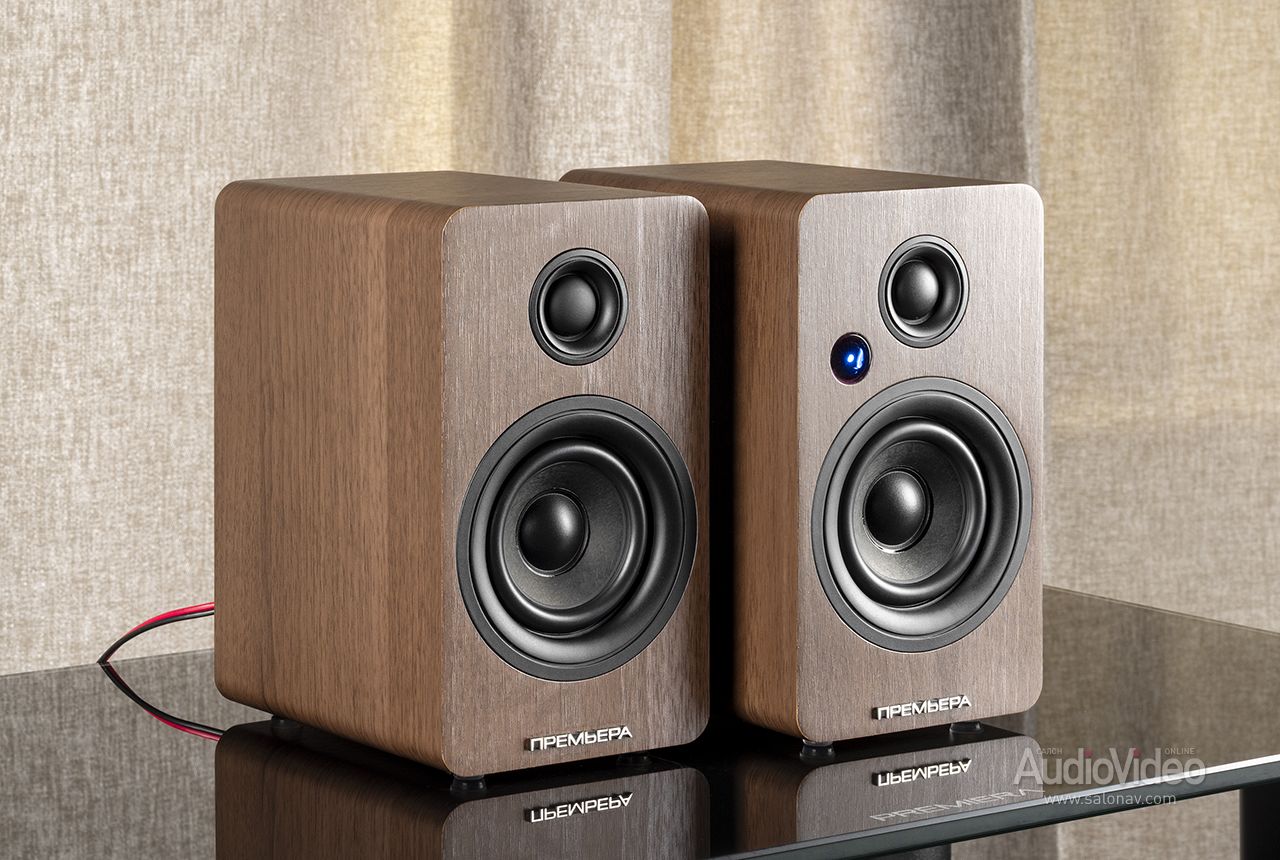 Активные мониторы Premiera RS-301A