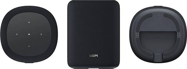 «Облегченный» спикер WIIM