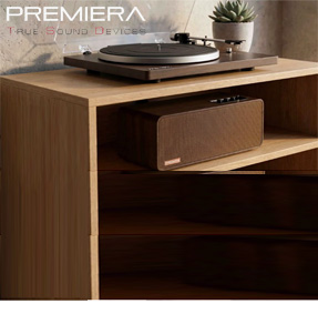 Винил без границ гармония звука и интерьера