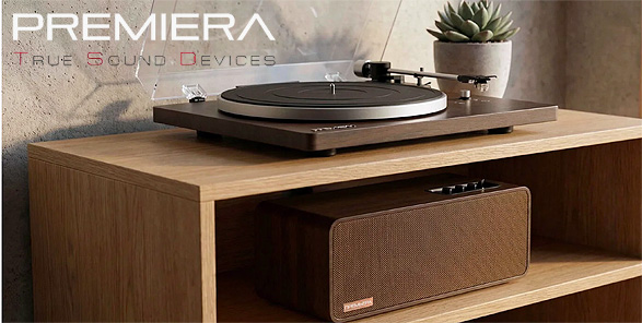 Винил без границ гармония звука и интерьера