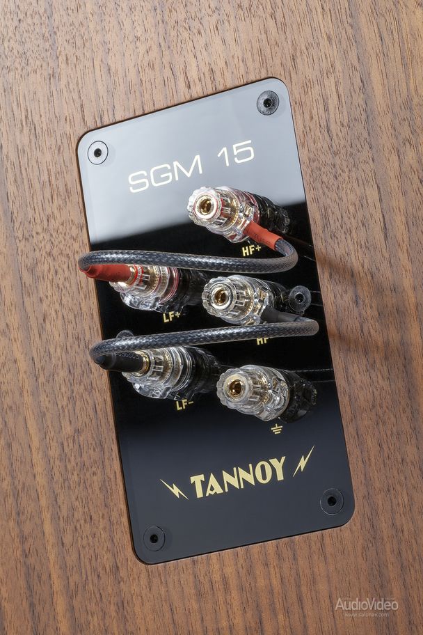 Tannoy_Super_Gold_Monitor_15_273.jpg